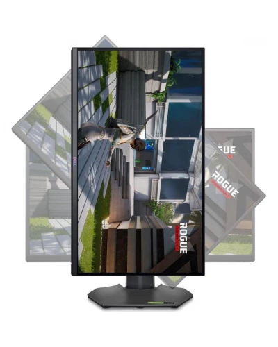 Монитор Dell G2524H (210-BHTQ)