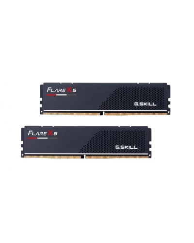 Память для настольных компьютеров G.Skill 48 GB (2x24GB) DDR5 5600 MHz Flare X5 (F5-5600J4040D24GX2-FX5)