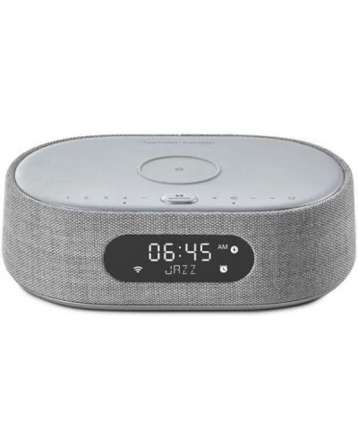 Моноблочна акустична система Harman/Kardon Citation Oasis FM Grey (HKCITAOASISFMGRYEP)